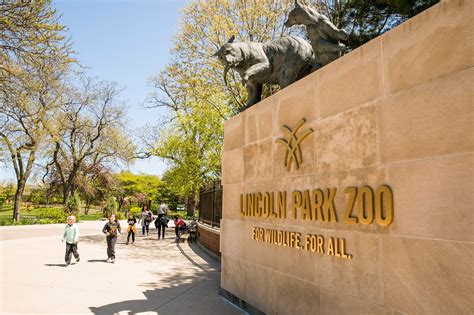 Lincoln park zoo - Lincoln Park Zoo. Situated on 35 acres of beautiful scenery, the Lincoln Park is a fascinating oasis of nature in the midst of concrete and skyscrapers. Drawing upwards of 3 million visitors a year due to its free admission, the zoo is nestled in the heart of Lincoln Park in an intimate setting with close views of the animals.